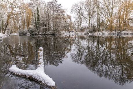 Winter reflectie