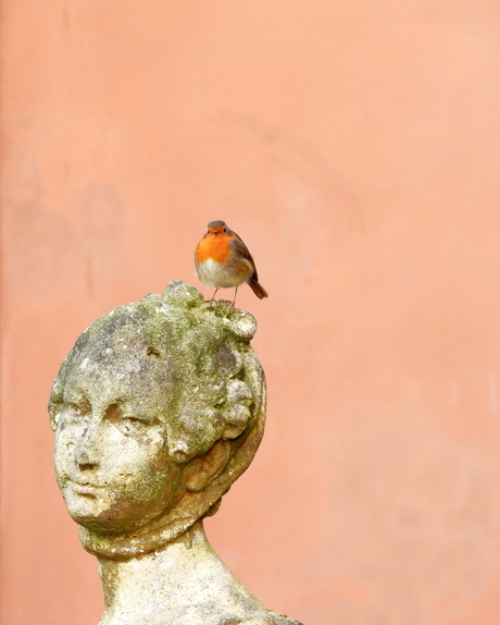 Goed uitzicht hier boven