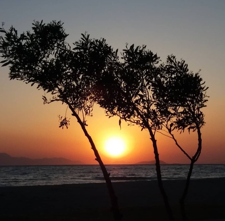 Tranquility is all you need 😊