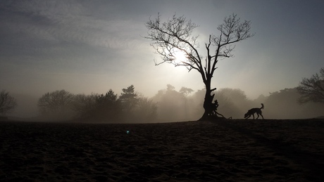 A morning stroll