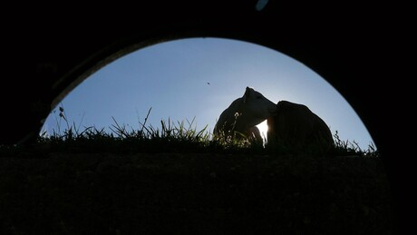 Blue moon, Just you and me