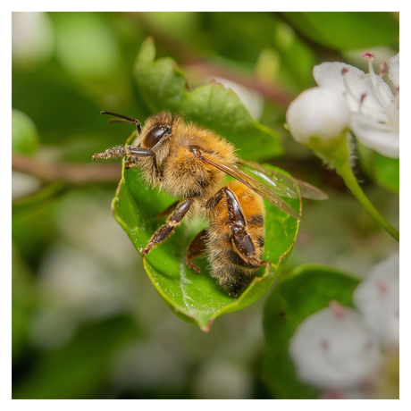 En dan ga je rechtaf en dan links