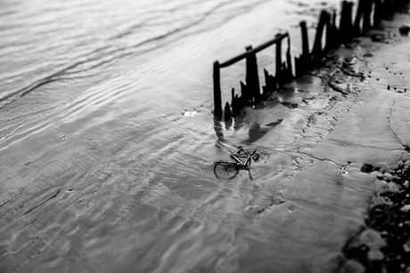 Zwart wit in Antwerpen