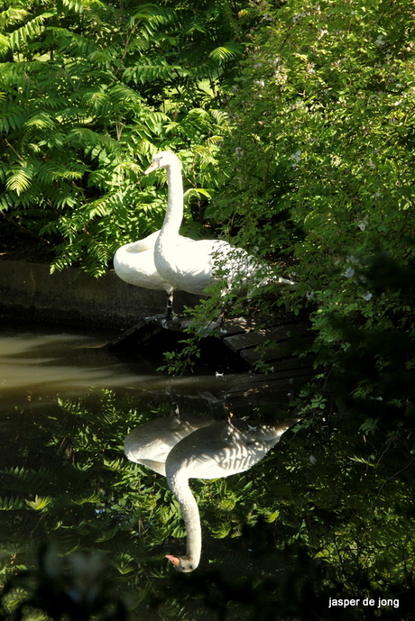 Gundershoffen 2011