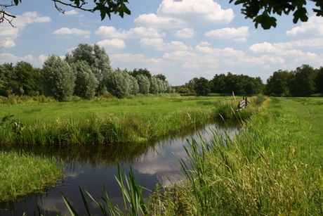 Denkend aan Holland