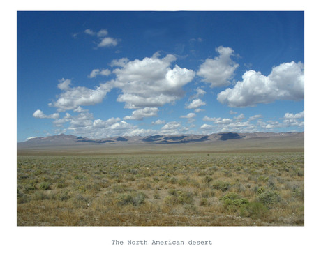 North American desert