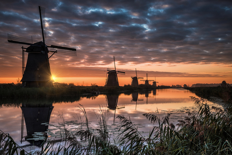 Kinderdijk