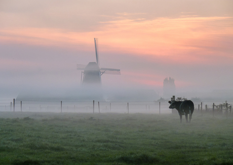 ochtend stond