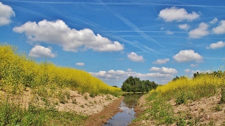 Stukje natuur in de uiterwaarden