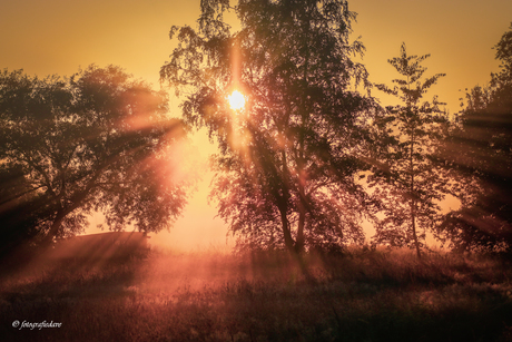 Eerste zonnestralen van de dag met een vleugje mist