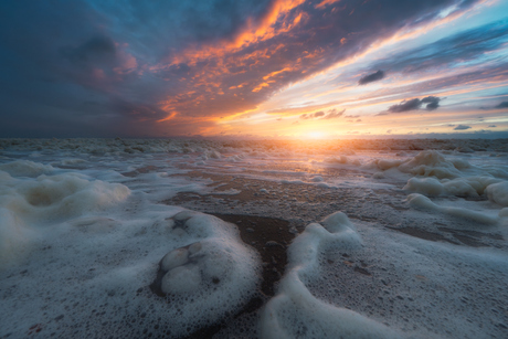Zeeschuim langs de Nederlandse kust