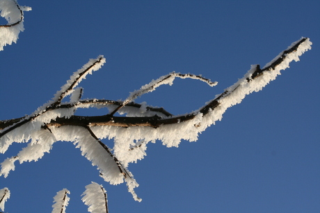 Winterplaatje