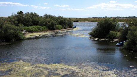 Portiragnes natuurreservaat 1