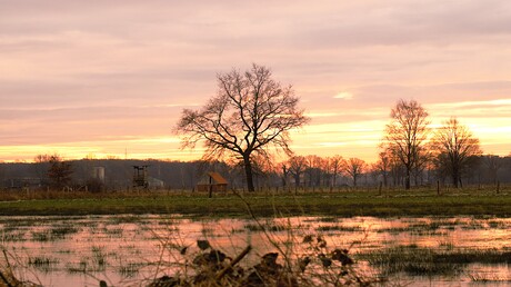 Zonsopkomst