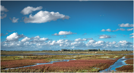 Rood-wit-blauw