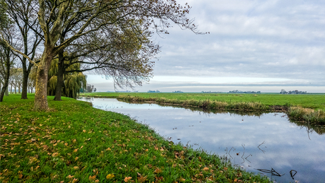weiland omgeving Edam