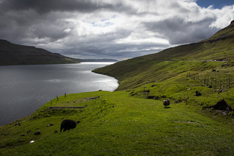 Baai Faroereilanden.