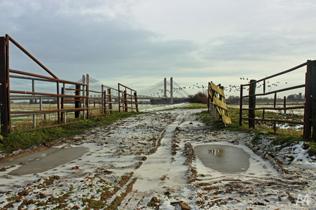 Martinus Nijhoffbrug