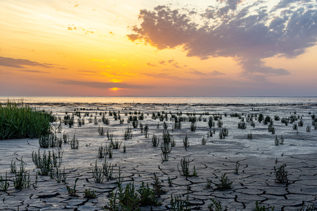 Zonsondergang Waddenzee