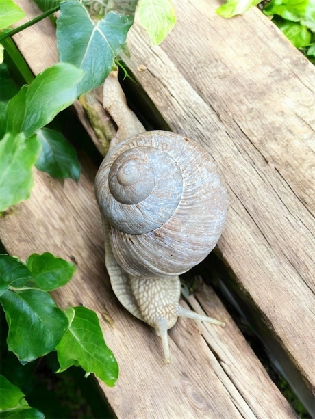 Op vakantie en neem mee