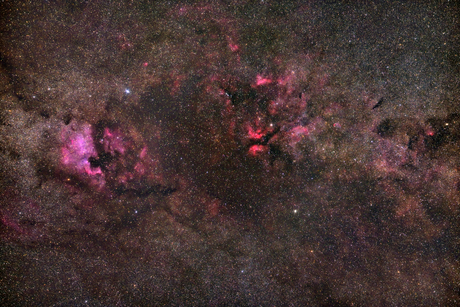 Nevels in sterrenbeeld Zwaan