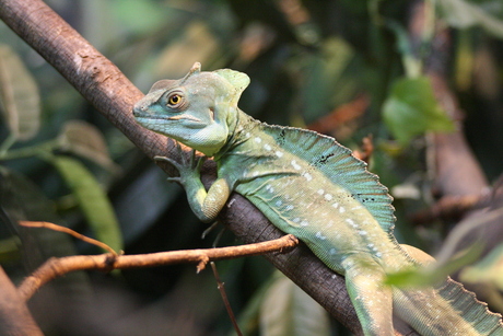 Gewoon een mooi plaatje!
