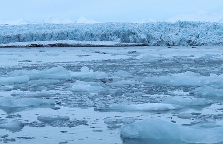 Esmarkbreen, de gletsjer 