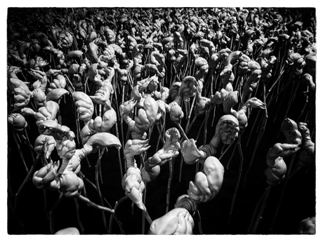 MONSTROSITY ON A STICK