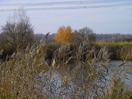 Twenterijn kanaal