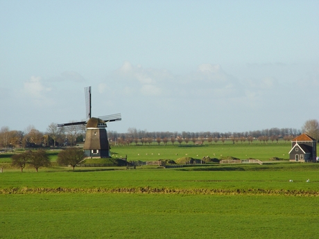 Op een zonnige zondag....