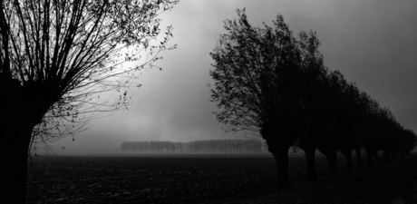 "Glow"in de polder