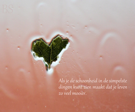 Zie het ...... liefde is overal.