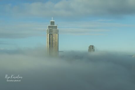 Rotterdam in de mist