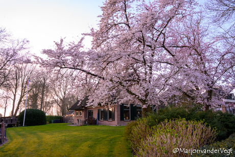 Optrekje in Giethoorn