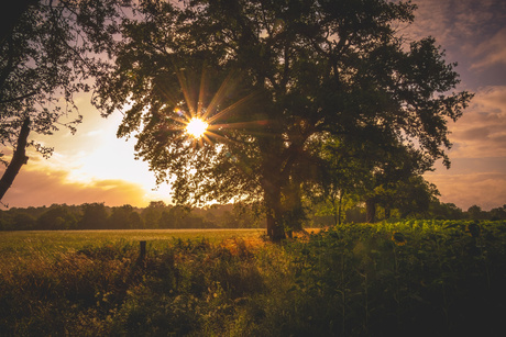 Op het Franse platteland. 