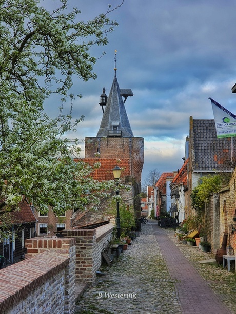 Elburg