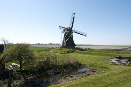 Molen Goliath, Eemshaven