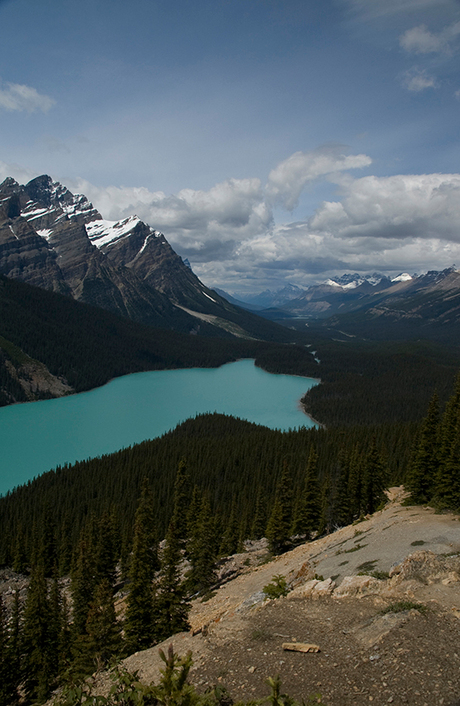 Peyto Lake