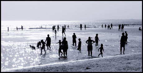 at the seaside