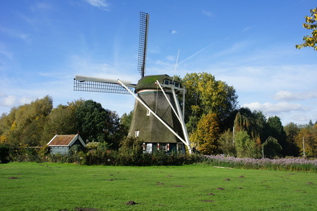 Hollandse molen