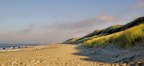 Duin en strand