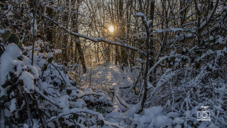 Ochtendgloren op de Brunssemerheide