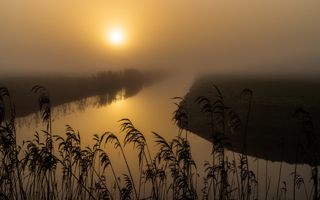 Mistige zonsopkomst aan het water