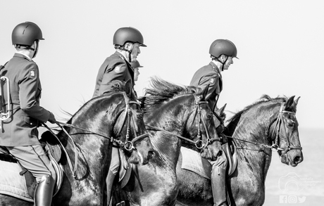 ere escort cavalerie op hun friezen