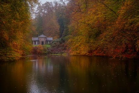 Herfst in Zypendaal II