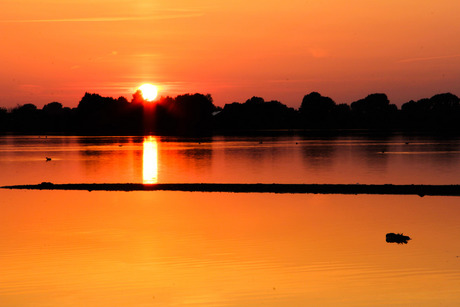 Oranje-zon