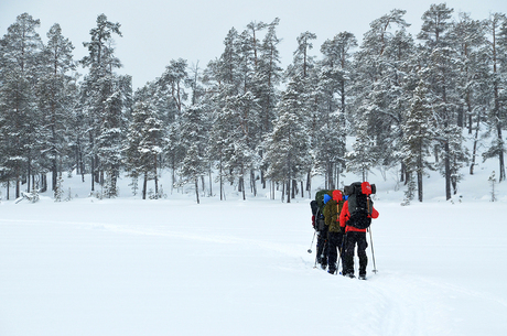 Skitrekking II