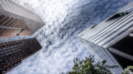 Hoog sammie kijk omhoog sammie.