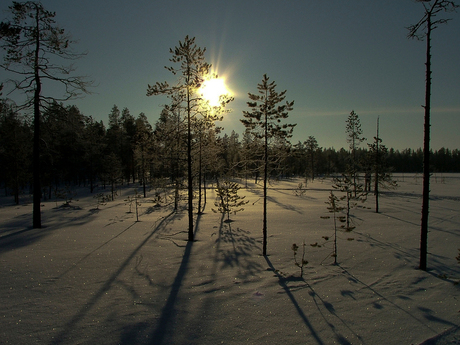 Winteravond