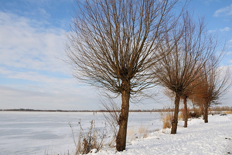 bevroren meer met kale bomen